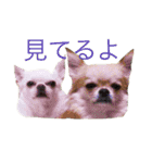 あんにん2（個別スタンプ：24）