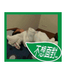 Elaine's shiny girl（個別スタンプ：4）