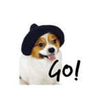 我が家の愛犬、こーすけくん（個別スタンプ：9）