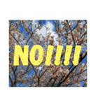 外国人にも使える英語スタンプ（個別スタンプ：4）