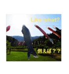 外国人にも使える英語スタンプ（個別スタンプ：14）