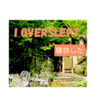 外国人にも使える英語スタンプ（個別スタンプ：15）