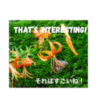 外国人にも使える英語スタンプ（個別スタンプ：16）