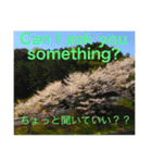 外国人にも使える英語スタンプ（個別スタンプ：36）