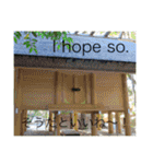 外国人にも使える英語スタンプ（個別スタンプ：37）