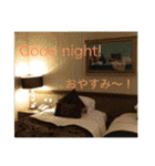 外国人にも使える英語スタンプ（個別スタンプ：40）