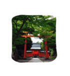 京都っぽい写真。（個別スタンプ：5）