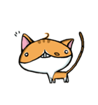 Whale's cat（個別スタンプ：1）