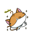 Whale's cat（個別スタンプ：30）