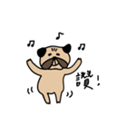 pug pug love（個別スタンプ：4）