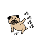 pug pug love（個別スタンプ：12）