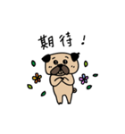 pug pug love（個別スタンプ：14）