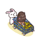 NNabbit（個別スタンプ：16）