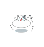 ブヨブヨ猫（個別スタンプ：16）