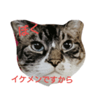 ぼくの名前はトキです。（個別スタンプ：6）