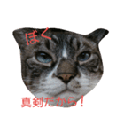 ぼくの名前はトキです。（個別スタンプ：7）