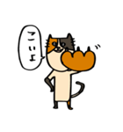 猫's（個別スタンプ：4）
