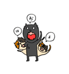 猫's（個別スタンプ：5）