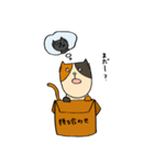 猫's（個別スタンプ：14）