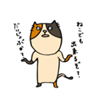 猫's（個別スタンプ：16）