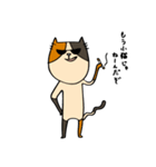 猫's（個別スタンプ：20）