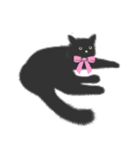 黒猫のルナ（個別スタンプ：5）