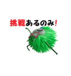 ボク動くくり坊（個別スタンプ：1）