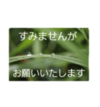 結婚していただけませんか？お受け致します（個別スタンプ：22）