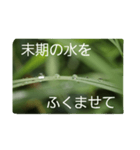 結婚していただけませんか？お受け致します（個別スタンプ：25）