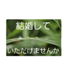 結婚していただけませんか？お受け致します（個別スタンプ：27）