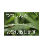 結婚していただけませんか？お受け致します（個別スタンプ：28）