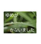 結婚していただけませんか？お受け致します（個別スタンプ：32）