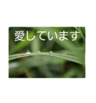 結婚していただけませんか？お受け致します（個別スタンプ：33）