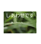 結婚していただけませんか？お受け致します（個別スタンプ：34）