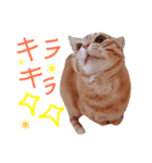 ちろちゃん（個別スタンプ：3）