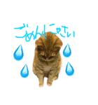 ちろちゃん（個別スタンプ：6）
