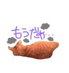 ちろちゃん（個別スタンプ：7）