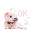 ゆらこはるん（個別スタンプ：3）