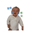 PIGET BABY（個別スタンプ：3）