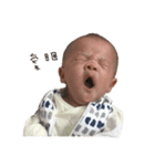 PIGET BABY（個別スタンプ：12）
