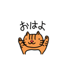 茶トラの日常（個別スタンプ：1）