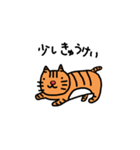 茶トラの日常（個別スタンプ：8）