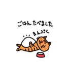 茶トラの日常（個別スタンプ：12）