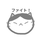 ねこセット（個別スタンプ：8）
