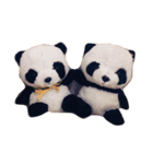 ぱんぱんとパシュ（個別スタンプ：1）
