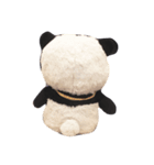 ぱんぱんとパシュ（個別スタンプ：3）