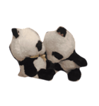 ぱんぱんとパシュ（個別スタンプ：6）