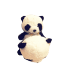 ぱんぱんとパシュ（個別スタンプ：7）