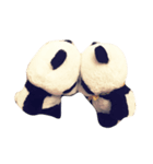 ぱんぱんとパシュ（個別スタンプ：8）