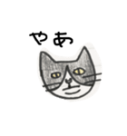 みさきの猫（個別スタンプ：1）